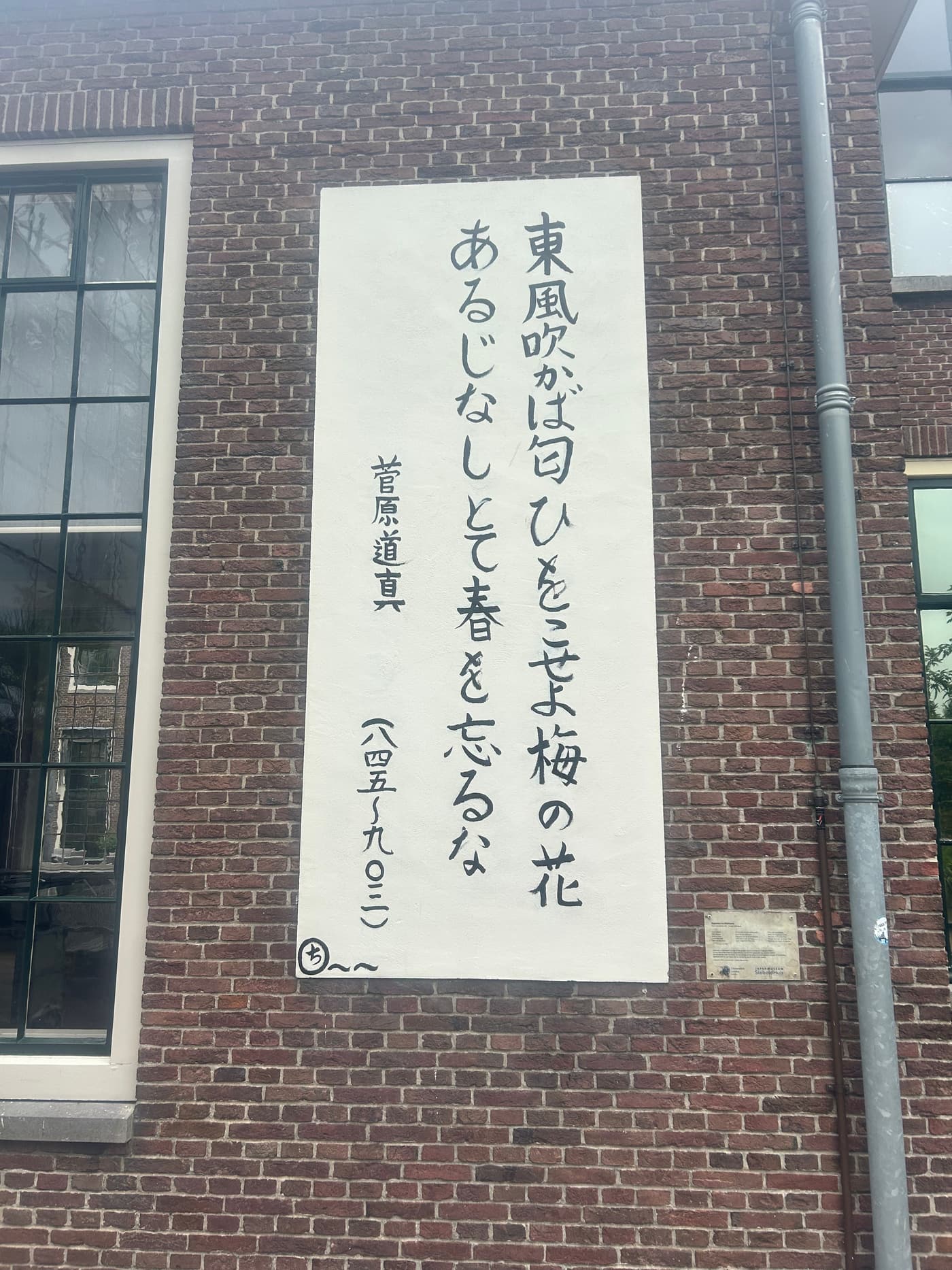 荷兰 IMG_3415