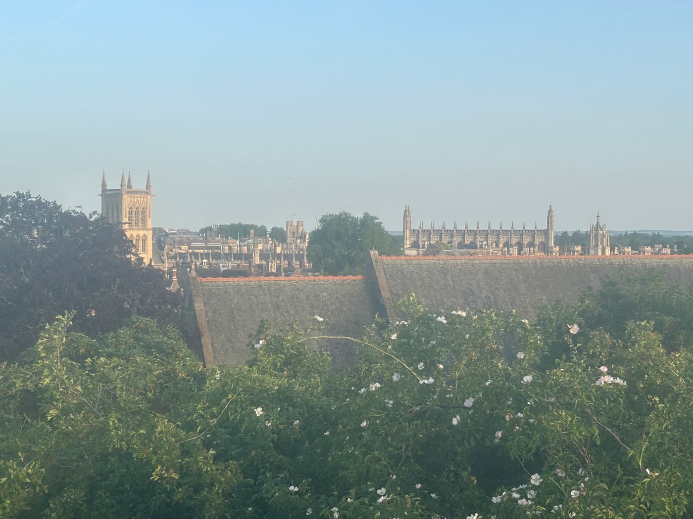 英国 IMG_2559