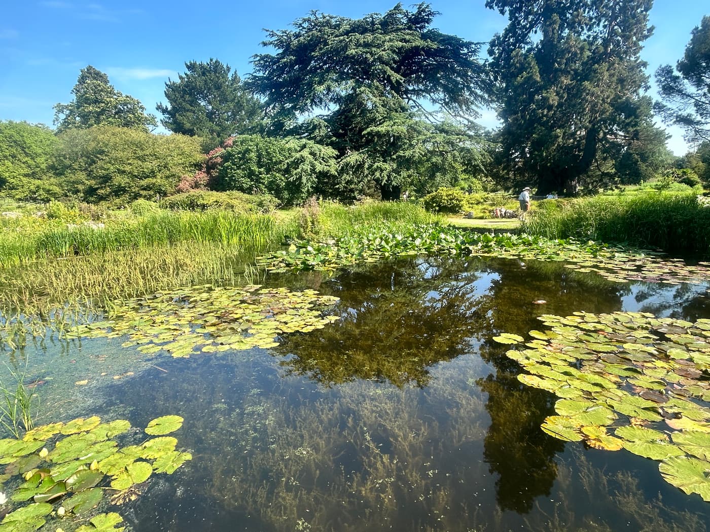 英国 IMG_2695